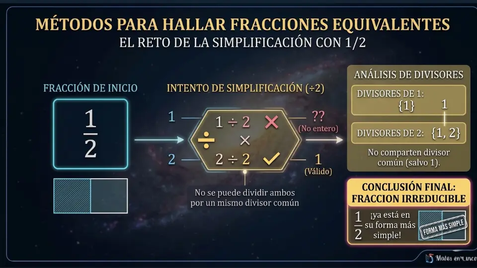fracciones-equivalentes-a-1-2-por-simplificacion